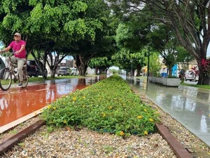 Arapiraca abre consulta pública para construção do Plano de Mobilidade Urbana