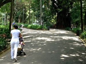 Câmara aprova projeto de lei que regulamenta profissão de cuidador