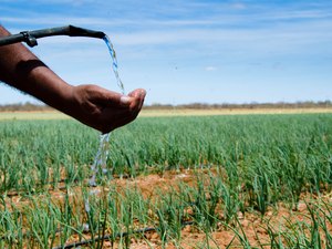Adutoras vão abastecer povoados de três municípios alagoanos com água tratada