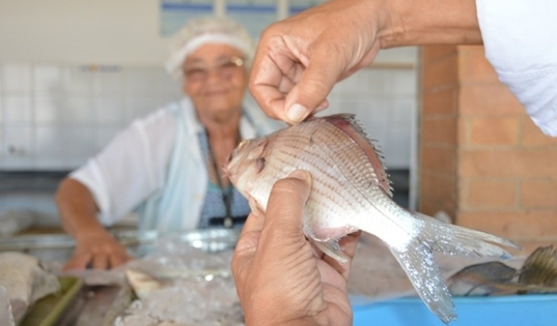 Especialistas ressaltam benefícios de se consumir pescados