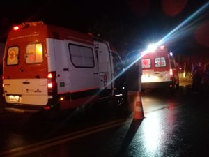 Animal na pista provoca acidente com vítima fatal na AL-485