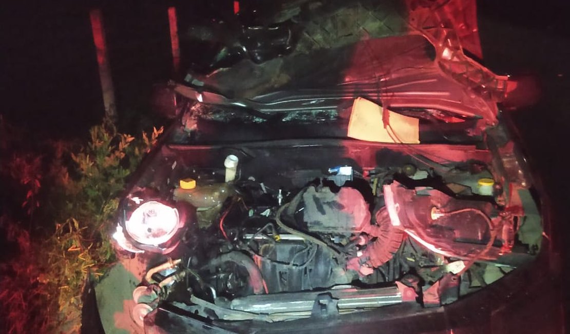 Jumento atravessa rodovia e causa acidente no Sertão