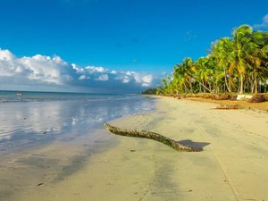 Fase vermelha: 6º BPM reforça policiamento em São Miguel dos Milagres e Porto de Pedras