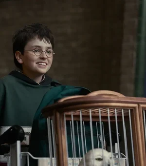 Série de Harry Potter tem diretor de fotografia brasileiro; conheça