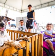 Prefeitura de Maceió investe no bem-estar animal