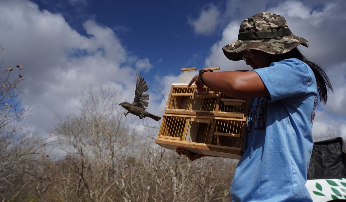 FPI 2023 realizou sua primeira soltura com 180 aves