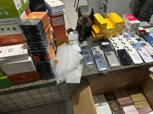 Mais de 40 iPhones e falsos perfumes importados são encontrados em ônibus no Agreste de AL