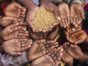 Alagoas tem mais de 10% da população afetada pela fome, indica estudo