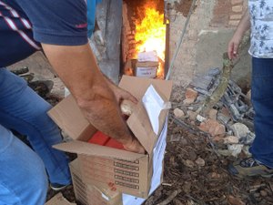 [Vídeo] Polícia Civil incinera 160kg de drogas apreendidas em Arapiraca