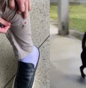 Faculdade de Direito da Ufal suspende aulas presenciais após ataques de cães