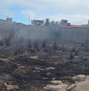 Queima de lixo durante limpeza de lotes mobiliza bombeiros em Marechal Deodoro