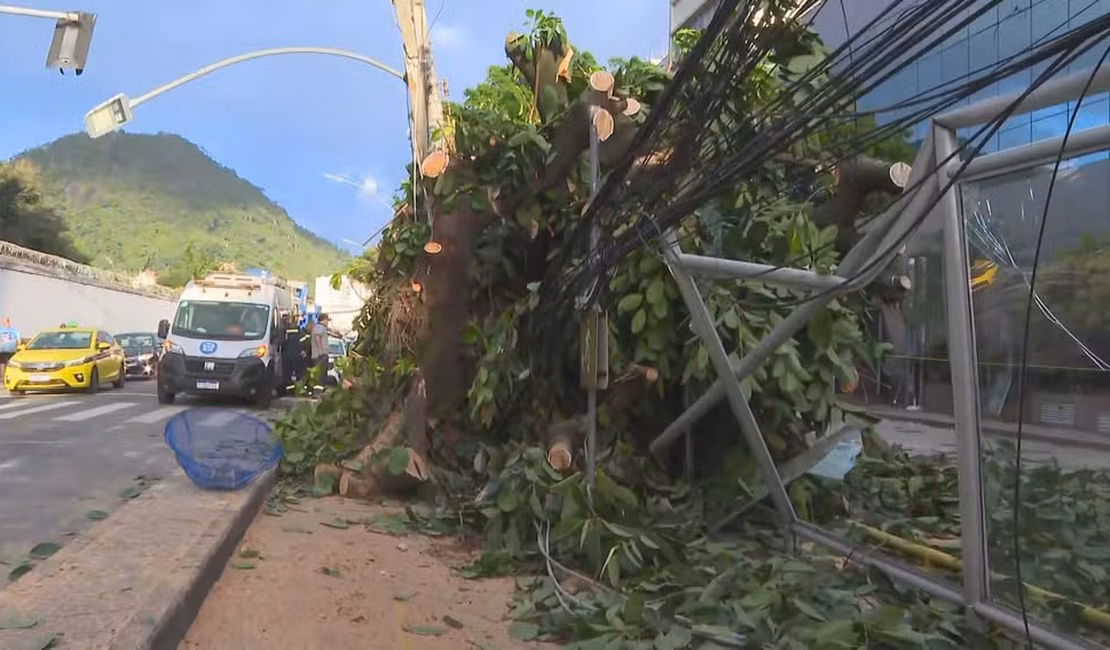 Vendaval deixa rastro de destruição e causa estragos no Rio de Janeiro