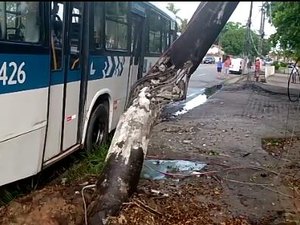 [Vídeo] Ônibus bate em poste e motorista é levado ao hospital