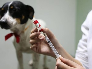 Campanha de vacinação antirrábica imuniza 113 mil animais em Maceió