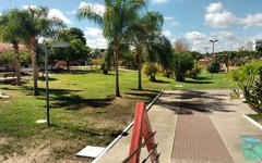 Prefeitura faz limpeza de parques e poda de árvores em Arapiraca