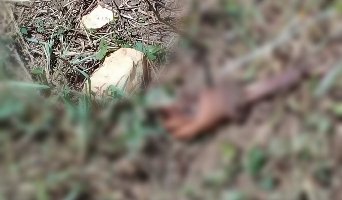 Corpo de criança é encontrado mutilado em São Brás, no Agreste 