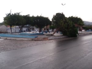 Chuva forte e ventania provocam estragos em cidade do Alto Sertão