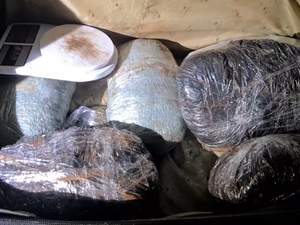 Polícia Militar apreende 4 kg de maconha em Maceió