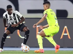 Botafogo vence o Palmeiras e tem a vantagem para classificação na Libertadores