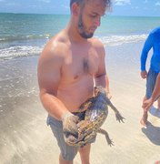 [Vídeo] Jacaré aparece nadando no mar da Praia de Japaratinga