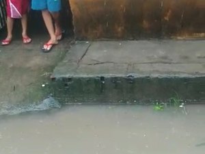 Com rua alagada, moradores fazem apelo à Defesa Civil de Palmeira