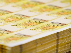 Seguro de vida com resgate cresce no mercado