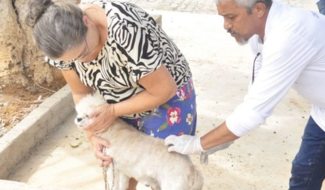 Campanha de Vacinação Antirrábica começa neste sábado (27) em Palmeira