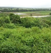 Estado de Alagoas inicia cultivo de camarão marinho em cativeiro