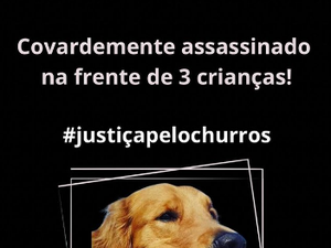 PM mata cachorro: 'Crianças pediram pelo amor de Deus pra ele não atirar'