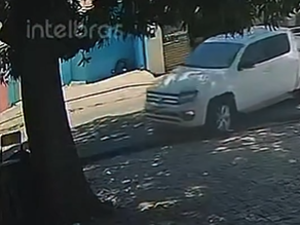 Delegado Leonam denuncia atropelamento de cadela no Feitosa e cobra identificação de motorista