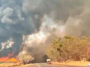 Mais de 80% dos focos de calor em SP estão em áreas de agropecuária