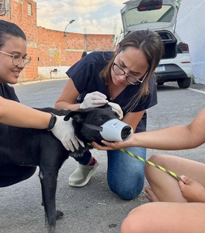 Lei estadual que garante proteção e o bem-estar dos animais já está em vigor