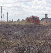 Bombeiros controlam incêndio em vegetação na AL-220 em Arapiraca