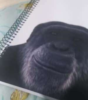 Professor é demitido após associar imagem de chimpanzé a aluno negro em escola de Maceió