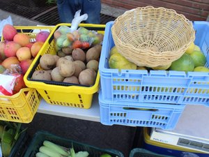 Feira orgânica e exposições acontecem neste domingo (18), na orla de Maceió