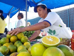 24ª Feira Camponesa começa amanhã na Praça da Faculdade