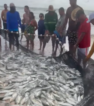 [Vídeo] Pescadores celebram fartura de peixes em praia de Alagoas