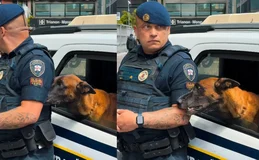 ﻿Perdeu a pose: guarda não resiste a cão pedindo carinho
