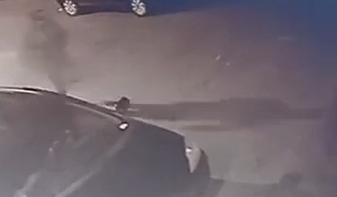 [Vídeo] Suspeito de homicídio ocorrido durante Carnaval em Lagoa da Canoa é capturado