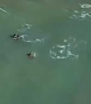 Guarda-vidas salvam criança arrastada por corrente de retorno em Jacarecica