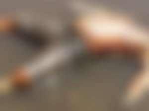 Corpo em estado de decomposição é encontrado no rio Manguaba