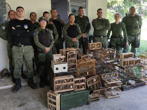 Mais de 100 aves silvestres são apreendidos em operação deflagrada na Feirinha do Tabuleiro