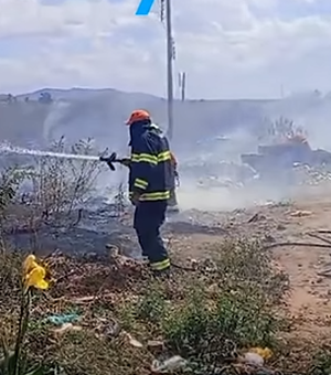 [Vídeo] Incêndio de grandes proporções em vegetação exige trabalho dos bombeiros em Palmeira dos Índios