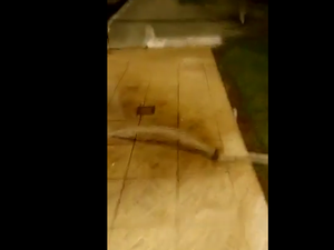[Vídeo] Moradores denunciam desperdício de água em prédio na Jatiúca