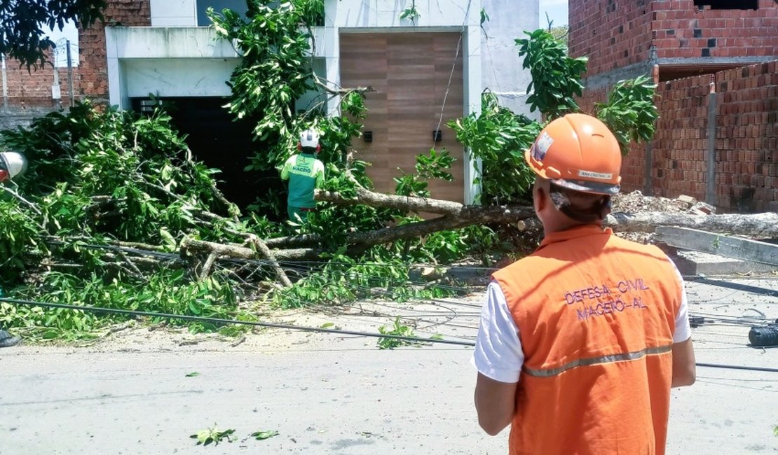 Defesa Civil de Maceió registra três ocorrências após ventos fortes no fim de semana