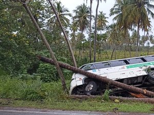 Micro-ônibus sai de pista, colide com árvore e tomba na AL-101 Norte