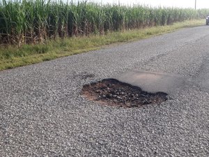 Motorista tenta desviar de buraco na AL 110 e sofre acidente
