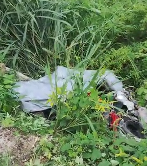 Motociclista morre após colidir com animal solto em trecho da rodovia AL-430