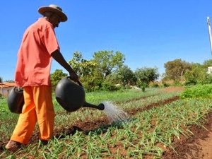 Ministério do Desenvolvimento Agrário autoriza pagamento do Garantia Safra