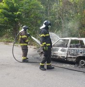 Carro fica totalmente destruído após pegar fogo na BR-104, em Messias